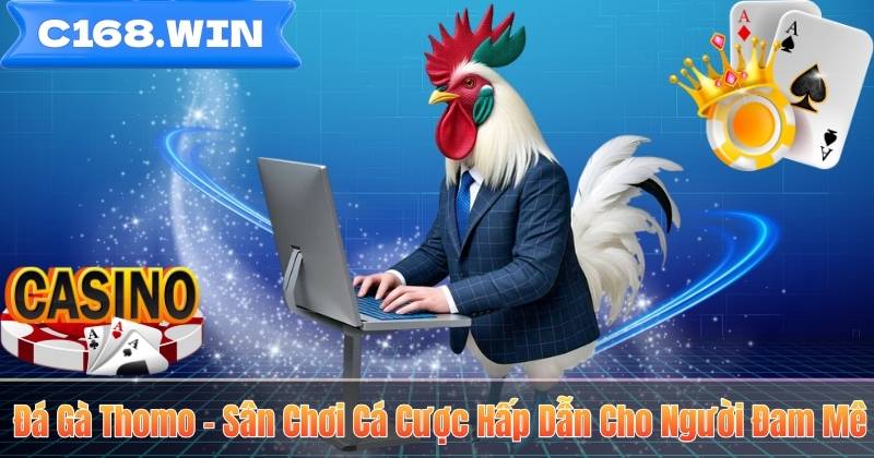 Đá Gà Thomo – Sân Chơi Cá Cược Hấp Dẫn Cho Người Đam Mê Đá Gà Thomo – Sân Chơi Cá Cược Hấp Dẫn Cho Người Đam Mê